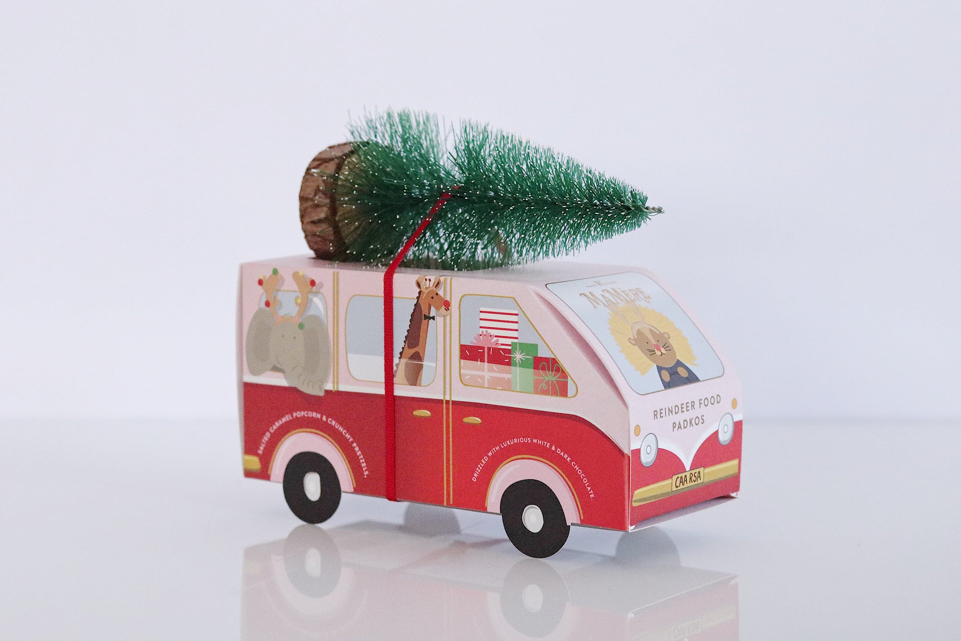 FESTIVE KOMBI